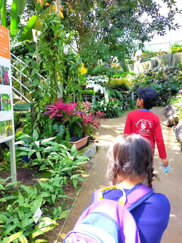 放課後等デイサービス　ウィズ・ユー広島/～植物公園に行こう～