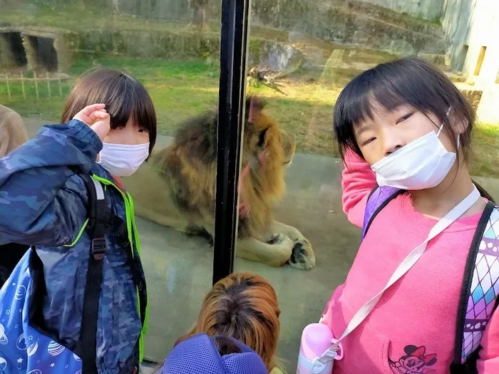 放課後等デイサービス　ウィズ・ユー広島/お弁当持ってお出かけ（安佐動物公園）