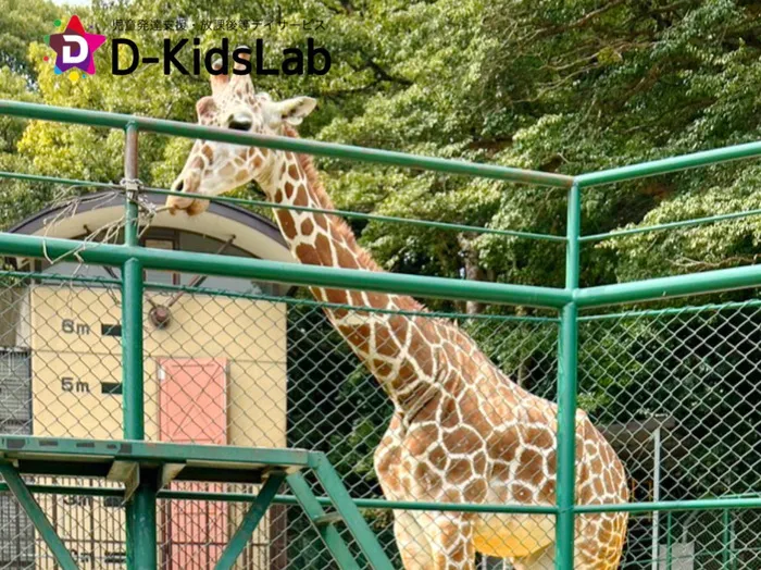 児童発達支援・放課後等デイサービス　D-KidsLab向佐野教室/福岡市動物園🦒