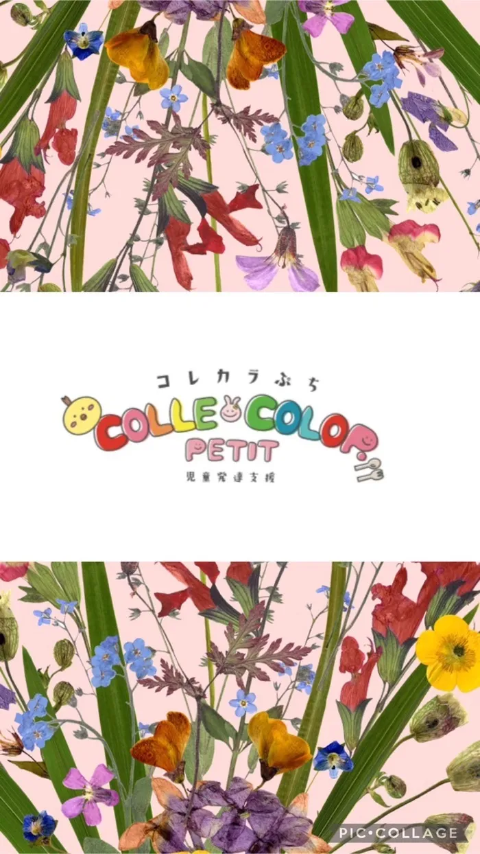 放課後等デイサービス　わんだー/✨4月にオープンしますCOLLE　COLOR　PETIT✨