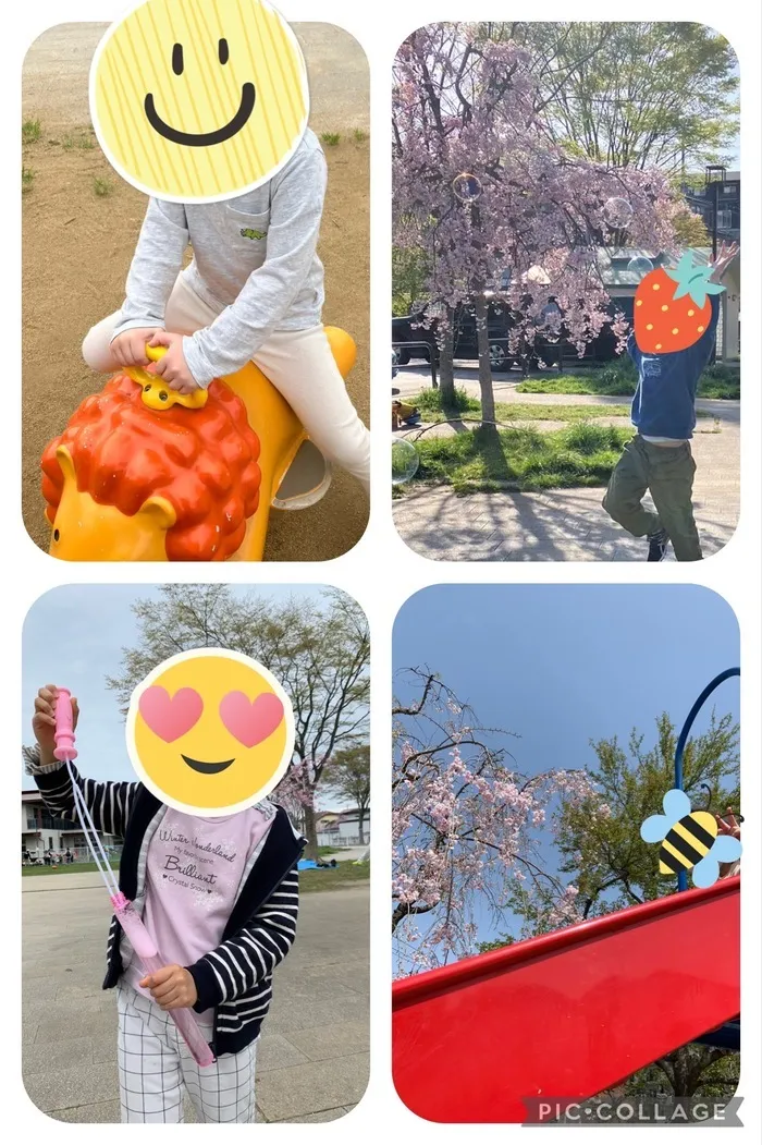 ブロッサムジュニア仙台木町教室/公園にお出かけ🌸