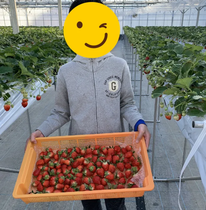 ブロッサムジュニア仙台木町教室/冬休み①🍓