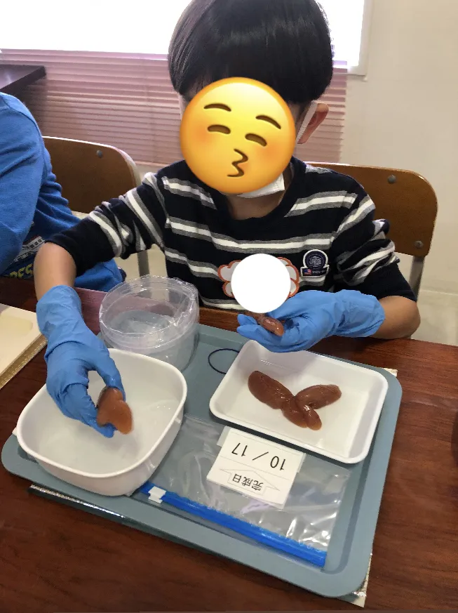 ブロッサムジュニア仙台木町教室/秋休み🍂【たらこ作り体験】