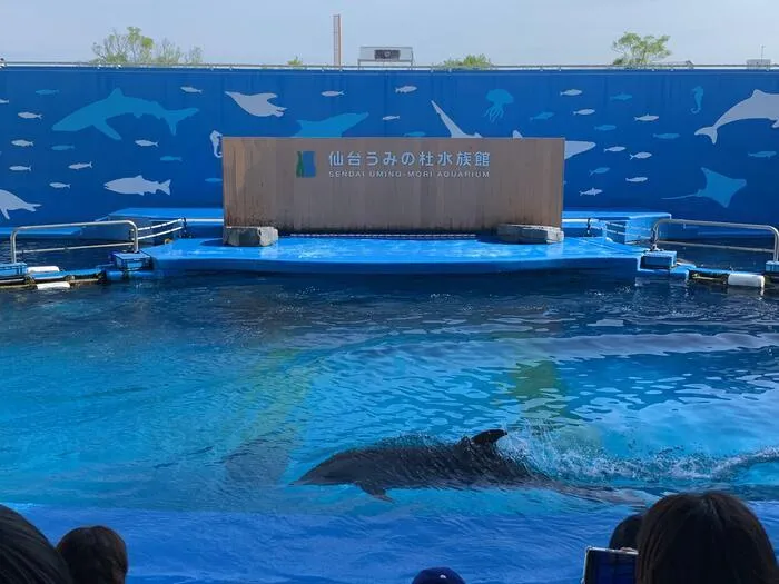 ブロッサムジュニア仙台木町教室/水族館🐬