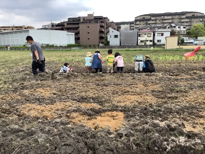 sakura/土曜日に農園へ行きました(*^^*)