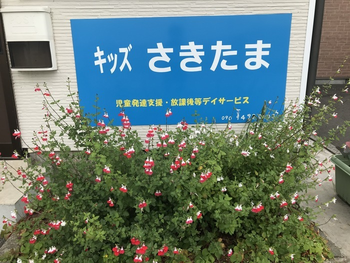 キッズ さきたま