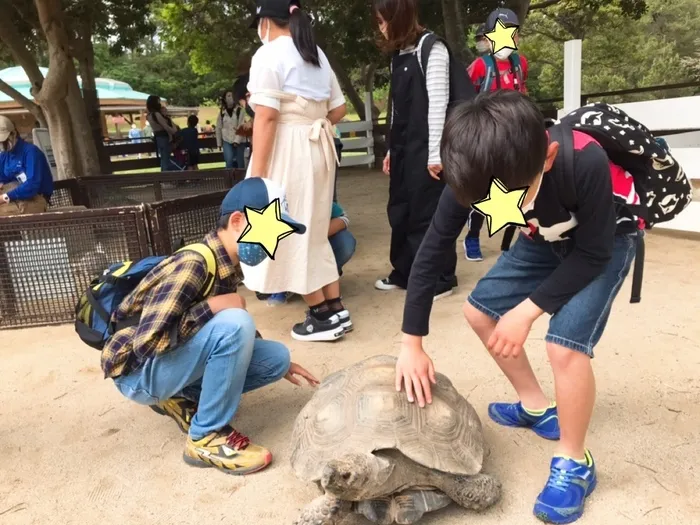 ICTフィールドあおくまのロケット/海の中道海浜公園動物の森へ！