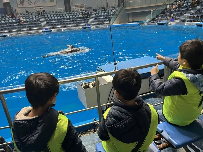 きっずあいらんど川崎渡田教室/イルカショーに行こう！🐬