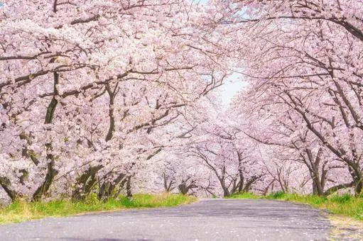 LITALICOジュニア姫路教室/新年度ご挨拶