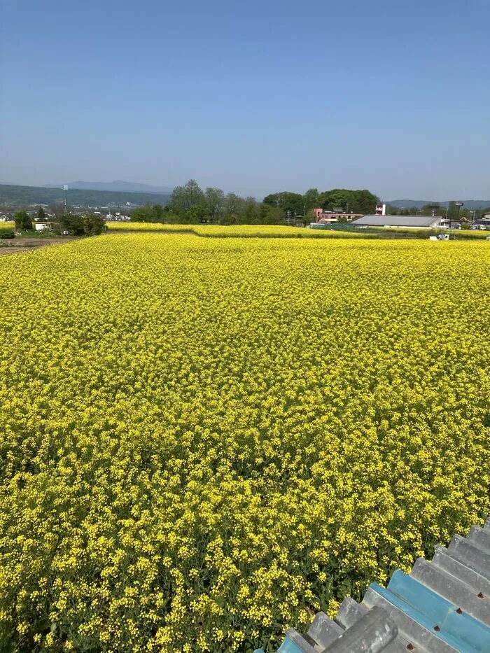 さくだいらキッズらぼ岩村田教室/みんな全力