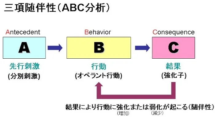 児童発達支援・放課後等デイサービス　LUMO江上校/オペラント条件付け〜三項随伴性とは〜