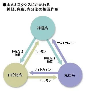 児童発達支援・放課後等デイサービス　LUMO江上校/ホメオスタシスとは