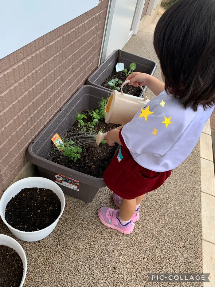 ナーシングプラス有松校/ナーシング畑はじめました🥕