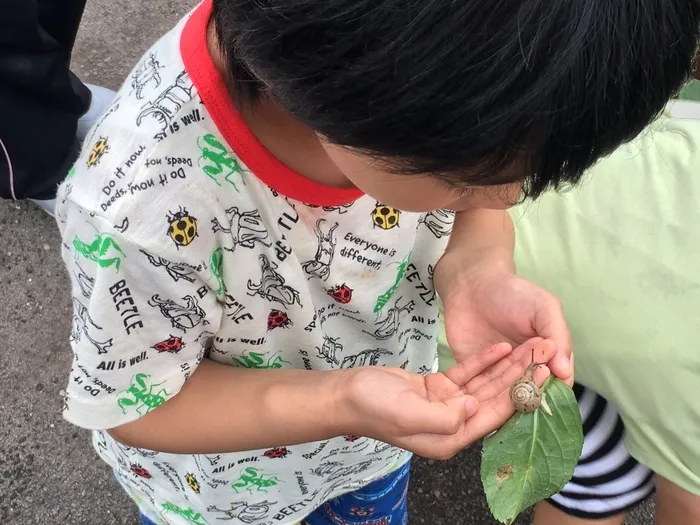 はなえみ学舎/カタツムリのぴーちゃん🐌💕〜身近な生物を観察しよう〜