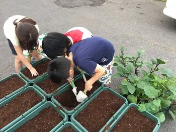 はなえみ学舎/はなえみ農園🌽〜野菜を植えました〜