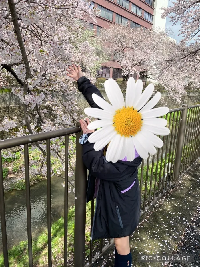 スパーク稲城オレンジ/🌸お花見に行ったよ🌸