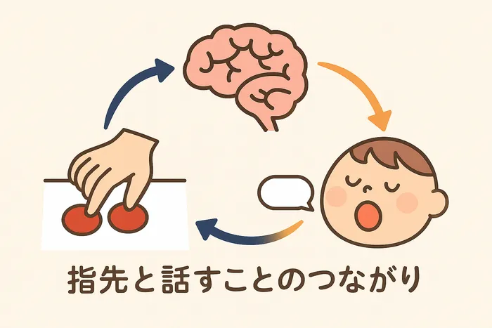 ステラ幼児教室・港校 (児童発達支援)/はっきり話せるようになるために