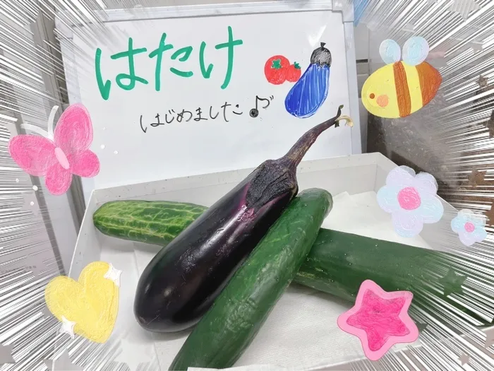 アイダージュニアさいたま中央教室/行ってきました🍆🍅🥒