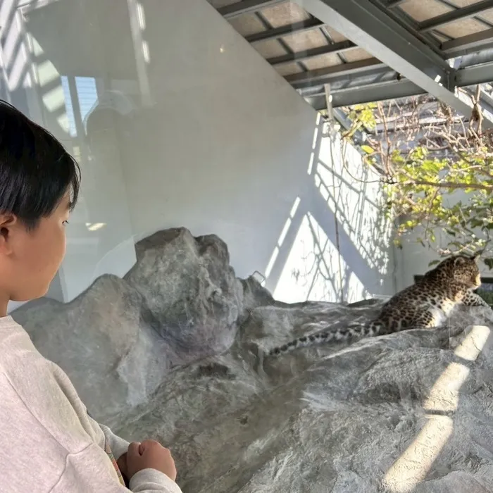 いちばん星/福山動物園