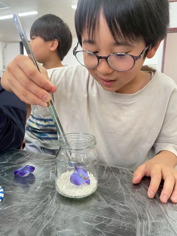いちばん星/アクアハ―バリウムを作りました！