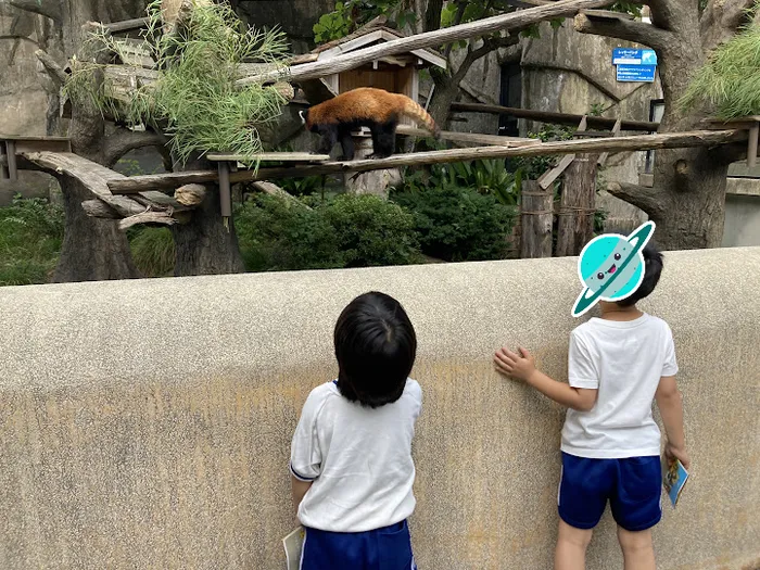 ステラスカイ/野毛山動物園🦒