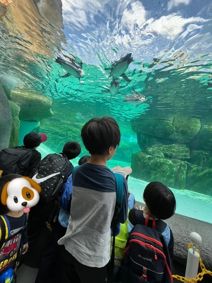 児童発達支援・放課後等デイサービス　ソレイユ/動物園に行きました🦁