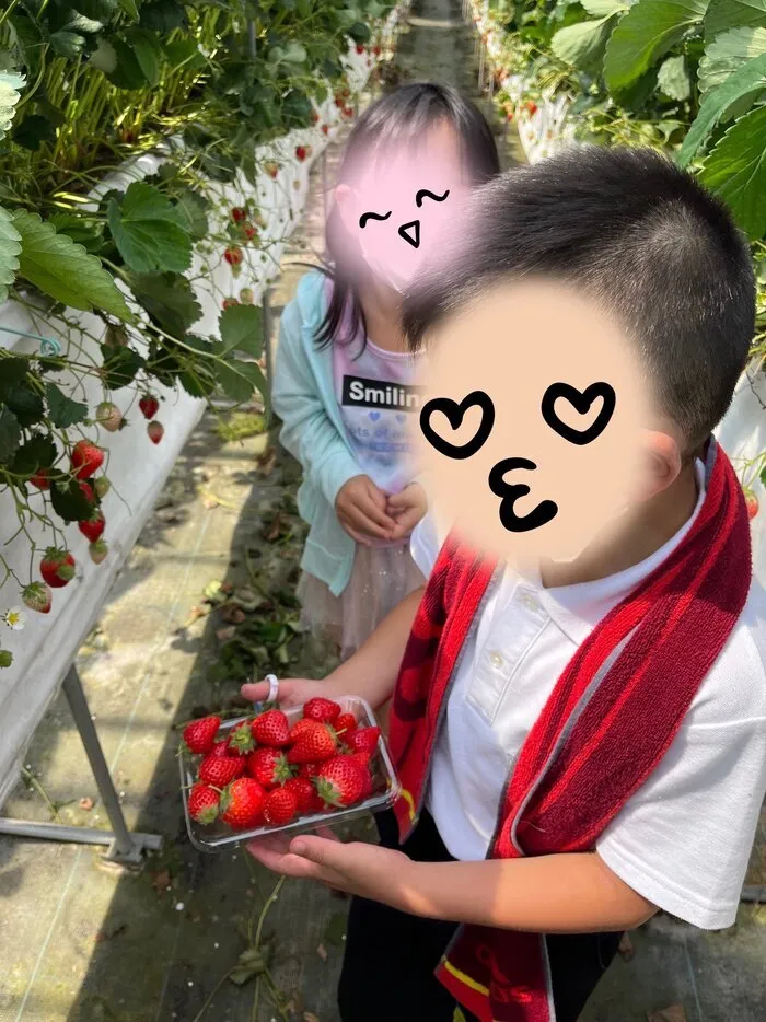 ひらり新居浜ルーム/🍓いちご狩り🍓