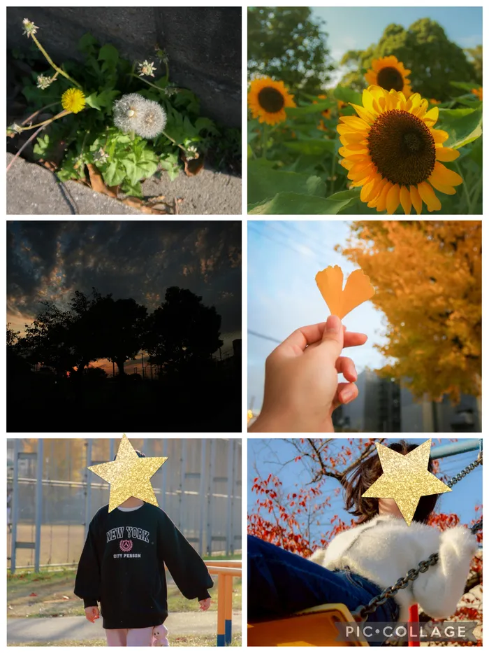  児童発達支援・放課後等デイサービス　ホープの画像