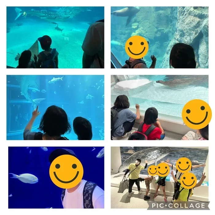  児童発達支援・放課後等デイサービス　ホープ/🐠海遊館🐠