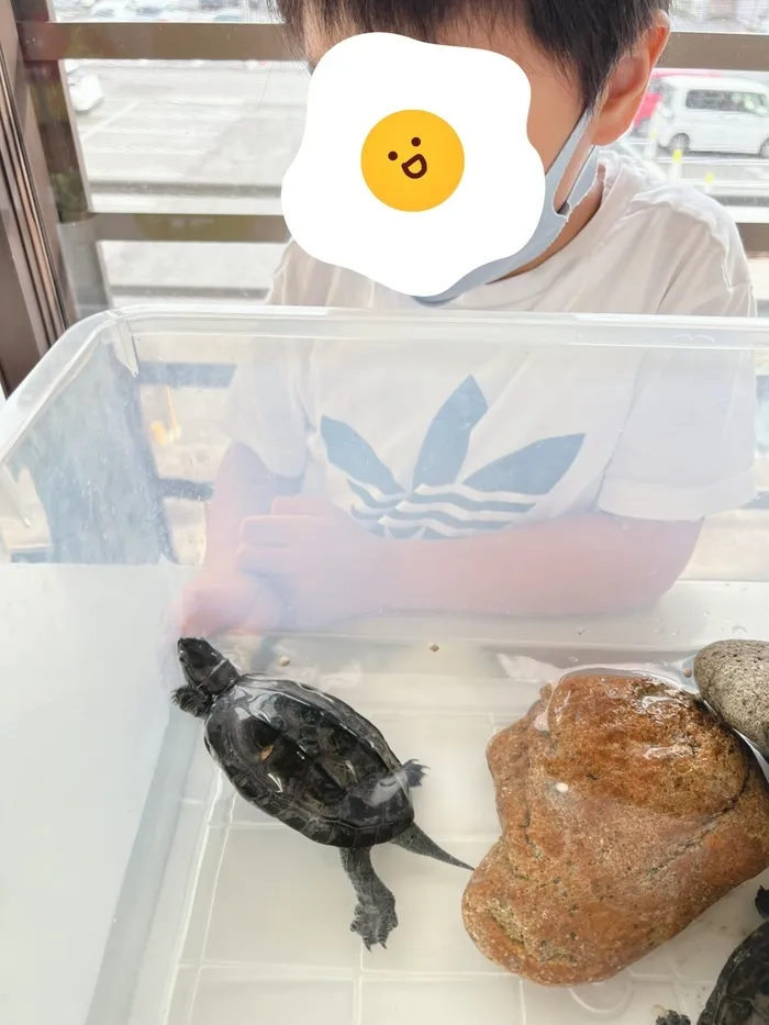 ちゃれんじ元今泉教室/かめさん🐢