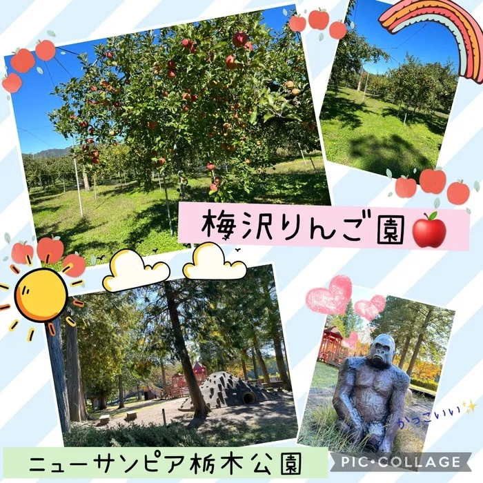 ちゃれんじ元今泉教室/りんご狩り下見🍎