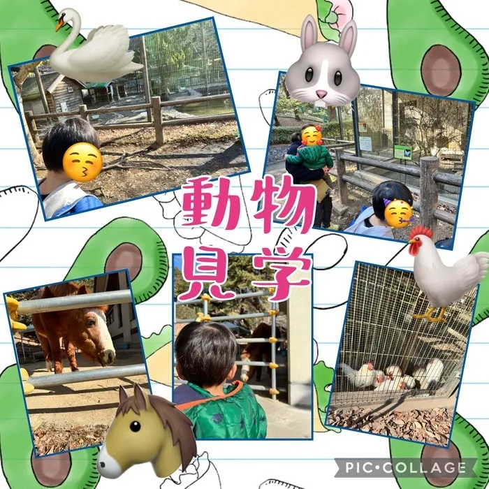 ちゃれんじ元今泉教室/動物見学🐴🐓🦢