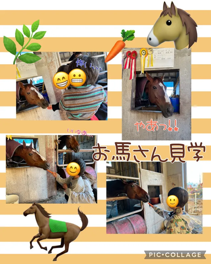 ちゃれんじ元今泉教室/🐴🐴おうまさん