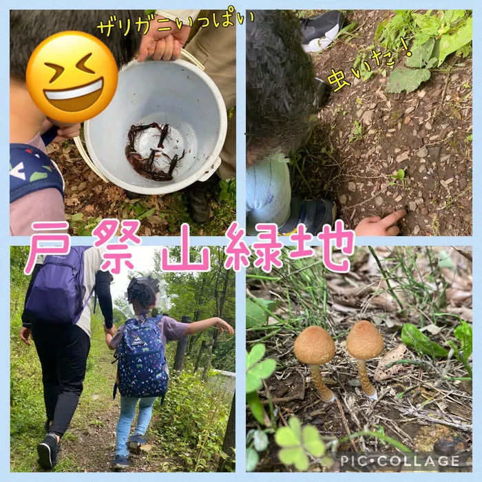 ちゃれんじ元今泉教室/🌳戸祭山緑地🌲