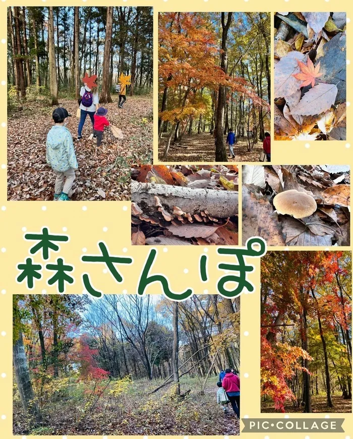 ちゃれんじ元今泉教室/森散歩🌲🌳