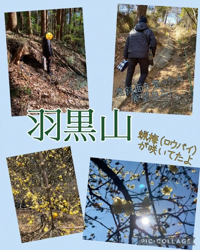 ちゃれんじ元今泉教室/羽黒山登山💪