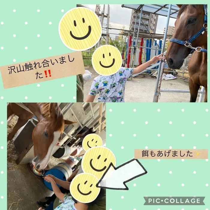 ちゃれんじ元今泉教室/馬🐎