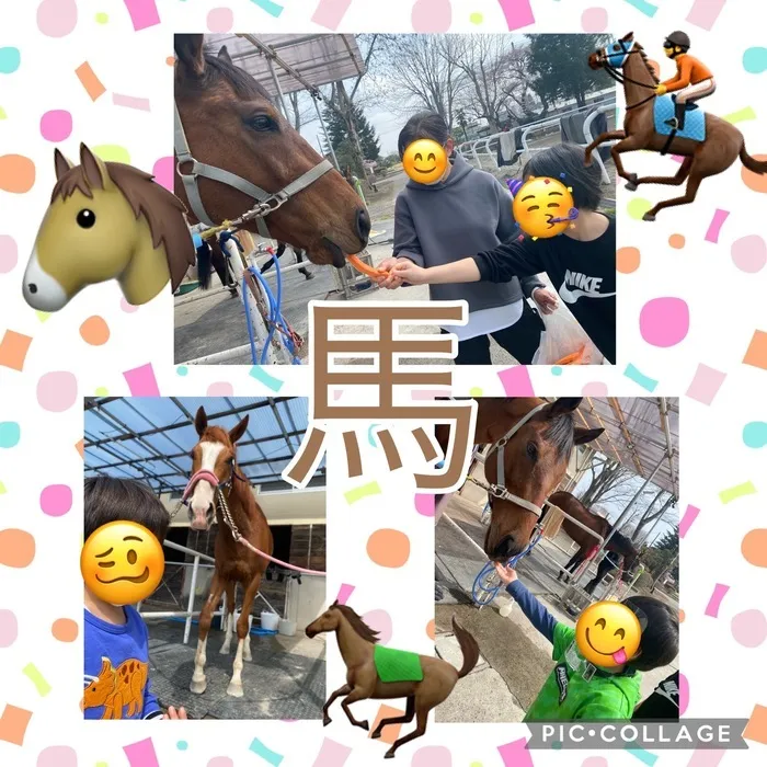 ちゃれんじ元今泉教室/馬🐴🐎