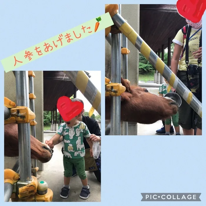 ちゃれんじ元今泉教室/馬🐴