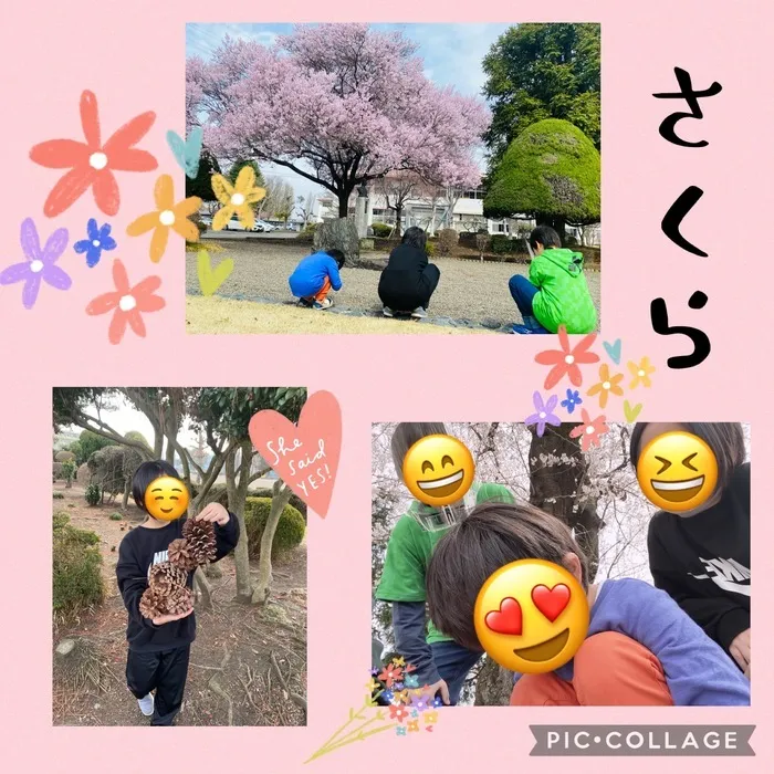 ちゃれんじ元今泉教室/🌸桜がさいていました！🌸