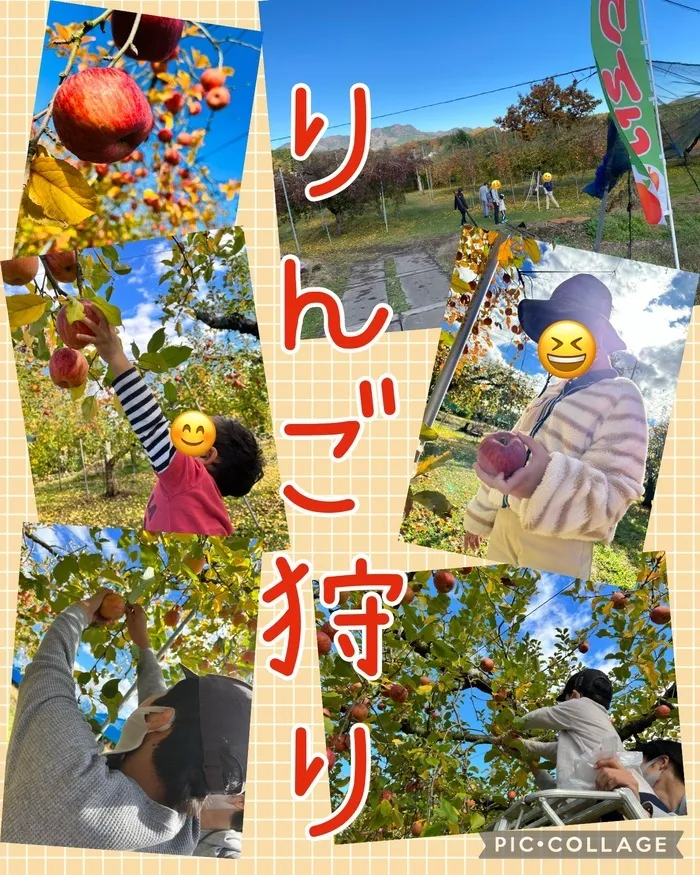 ちゃれんじ元今泉教室/りんご狩りにいってきました！🍎