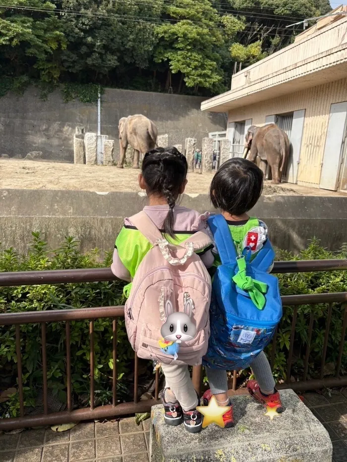 One step smile日野教室/動物園に行こう🐘