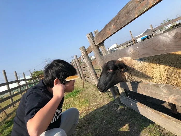 児童発達支援・放課後等デイサービスSketch book/岩沼ひつじ村に行きました🐏