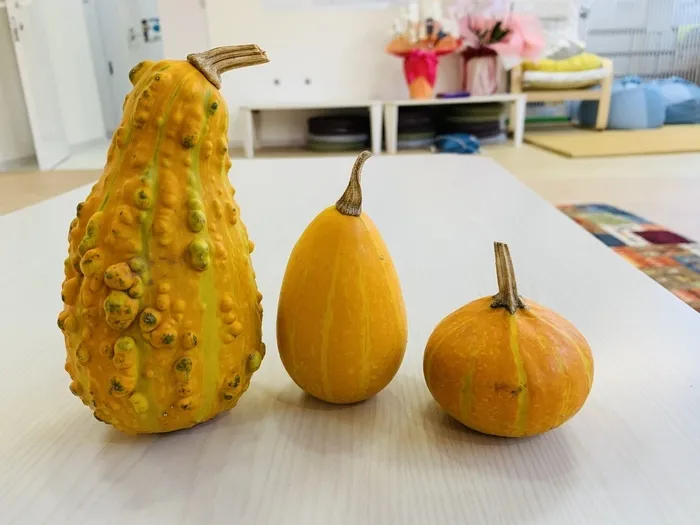 マイステージひまわり西九条/ハロウィン🎃といえば…「本物を体験」