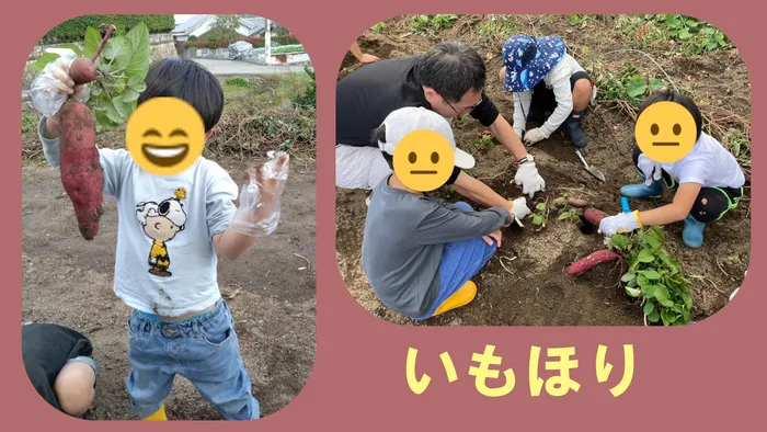 こども未来アカデミー苦楽園教室/芋掘りに行きました