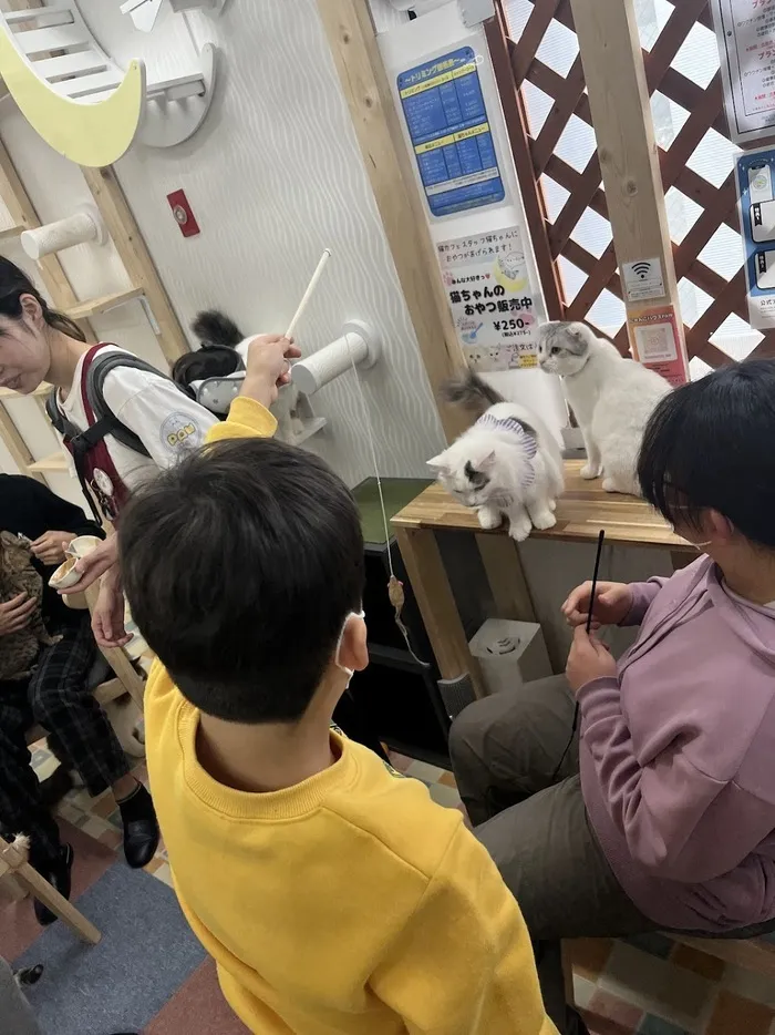 Nobiruva港南台/イベントの様子