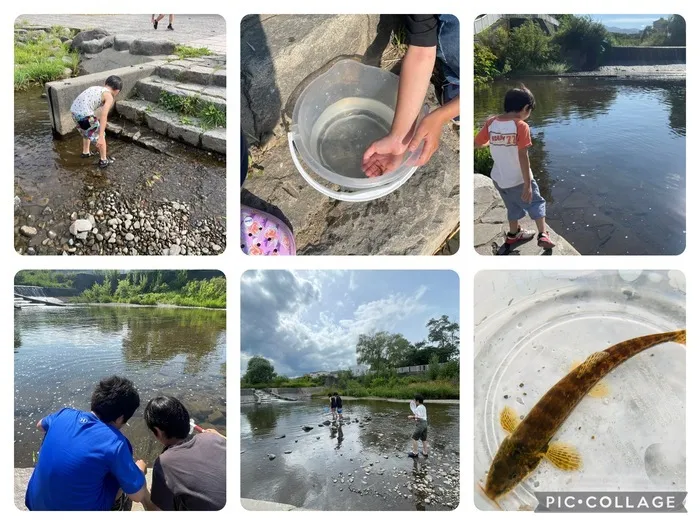 トイボックス/川遊び🏞️夏の思い出