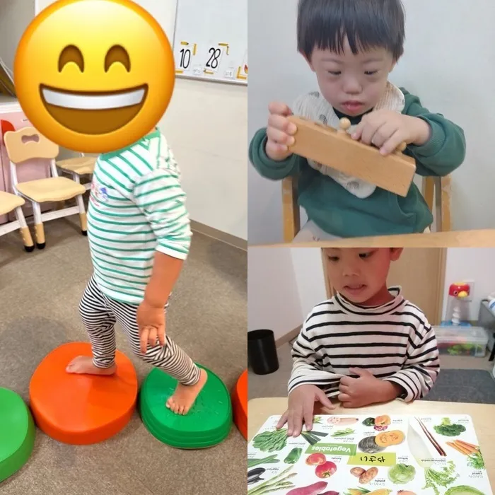 てらぴぁぽけっと 三鷹下連雀教室/進化論✨