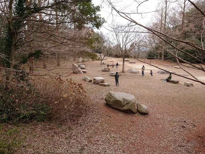 ハイチーズ/山の公園で気分転換