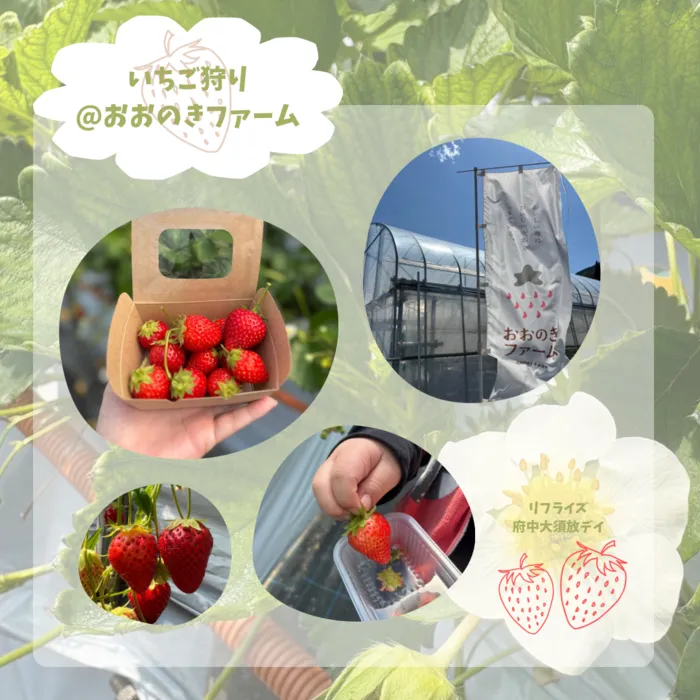 【広島県指定事業所】【中学生・高校生専用デイサービス】kids space リフライズ府中大須/いちご狩り🍓